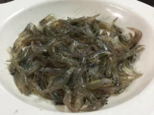 tép bò xào hẹ siêu ngon 6